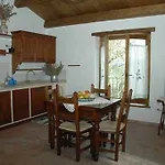 Il Falco Del Monte Fumaiolo *