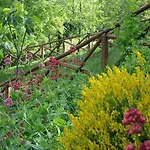 Il Falco Del Monte Fumaiolo Alloggio per agriturismo