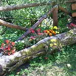 Alloggio per agriturismo Il Falco Del Monte Fumaiolo *