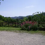 Il Falco Del Monte Fumaiolo Alfero