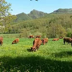 Alloggio per agriturismo Il Falco Del Monte Fumaiolo *
