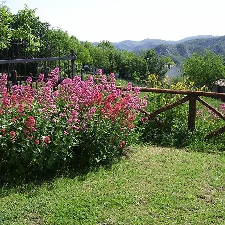 Il Falco Del Monte Fumaiolo Farma Alfero