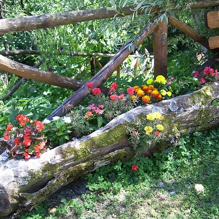 Farma Il Falco Del Monte Fumaiolo *