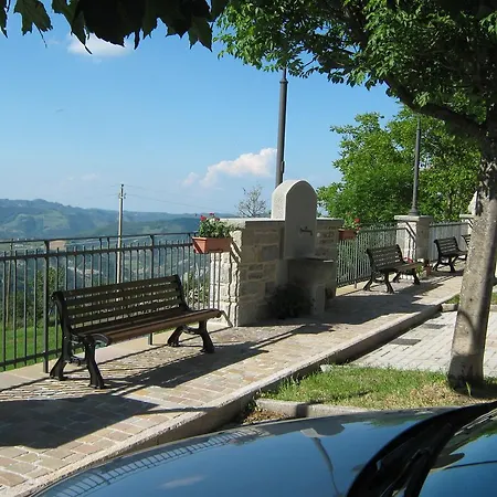 Il Falco Del Monte Fumaiolo *