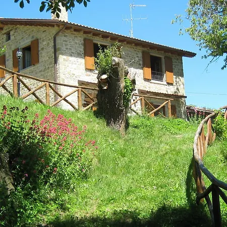Il Falco Del Monte Fumaiolo Farma Alfero