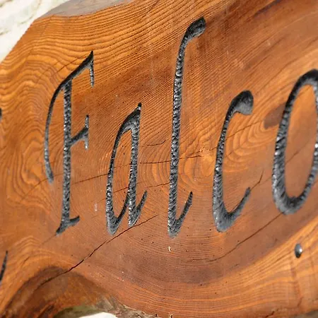 Il Falco Del Monte Fumaiolo *