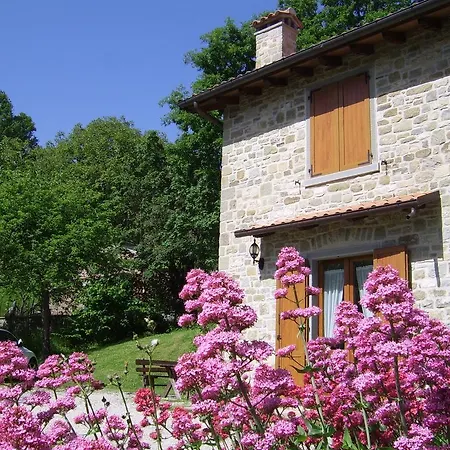 Farma Il Falco Del Monte Fumaiolo *