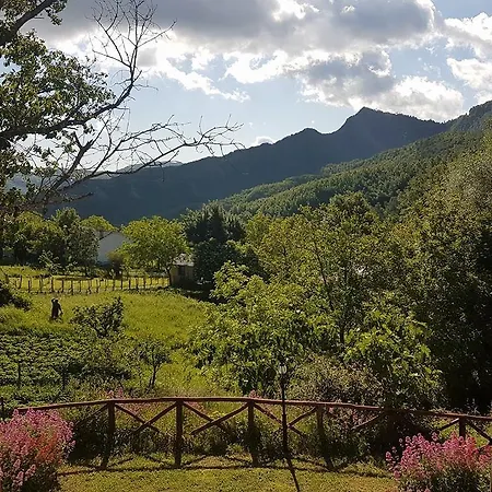 Il Falco Del Monte Fumaiolo Farma Alfero