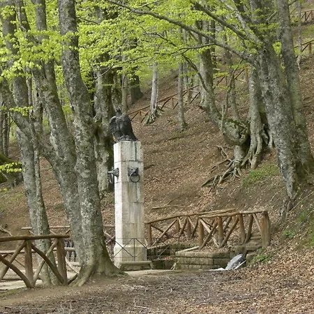 Farma Il Falco Del Monte Fumaiolo Alfero