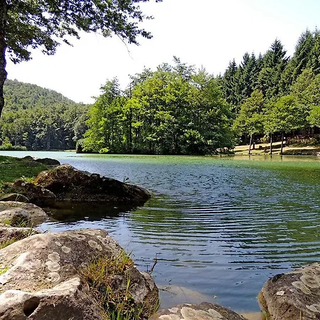 Il Falco Del Monte Fumaiolo * Alfero