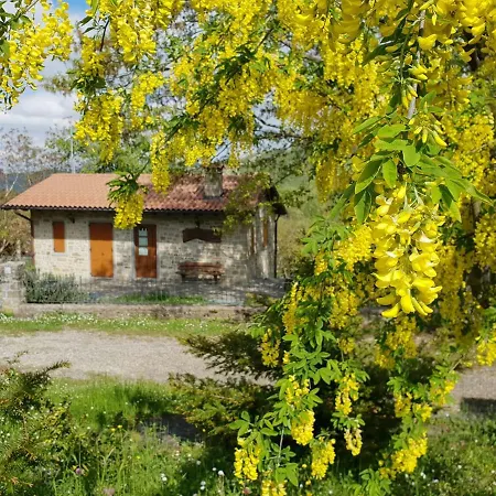 Il Falco Del Monte Fumaiolo Gospodarstwo agroturystyczne *