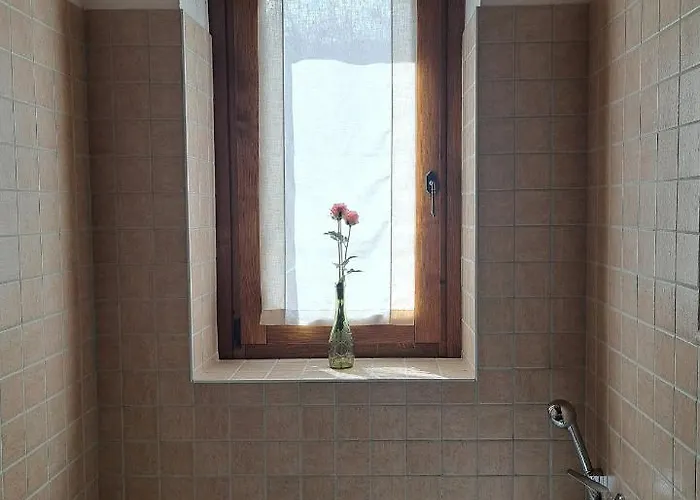 Il Falco Del Monte Fumaiolo