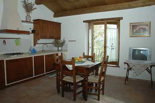 Il Falco Del Monte Fumaiolo *