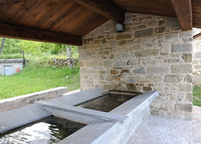 Il Falco Del Monte Fumaiolo * Alfero