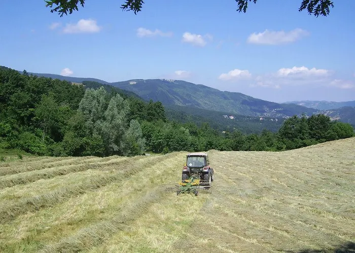 Gospodarstwo agroturystyczne Il Falco Del Monte Fumaiolo *