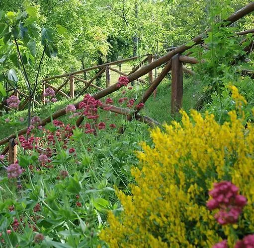 Il Falco Del Monte Fumaiolo Gospodarstwo agroturystyczne