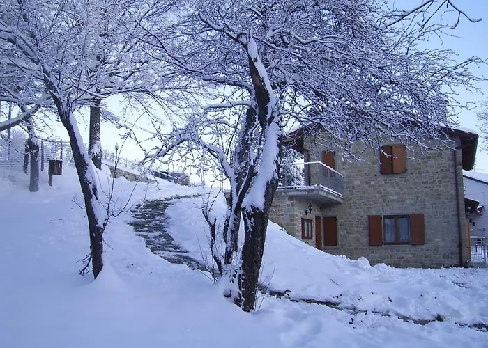 Gospodarstwo agroturystyczne Il Falco Del Monte Fumaiolo *