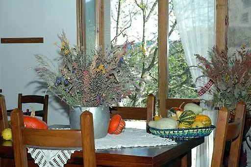 Il Falco Del Monte Fumaiolo * Alfero