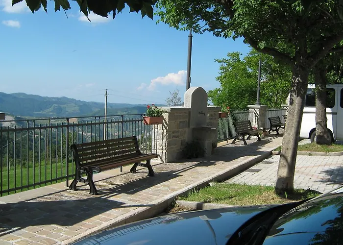 Il Falco Del Monte Fumaiolo *