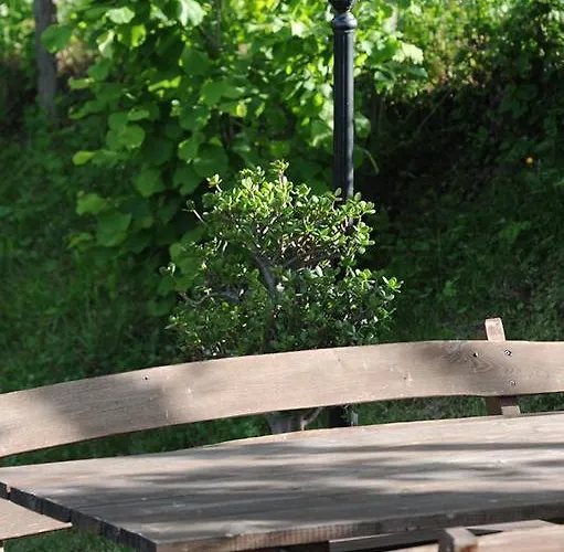 Il Falco Del Monte Fumaiolo * Alfero