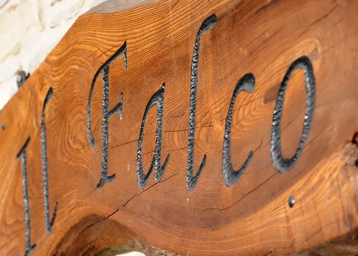 Il Falco Del Monte Fumaiolo *