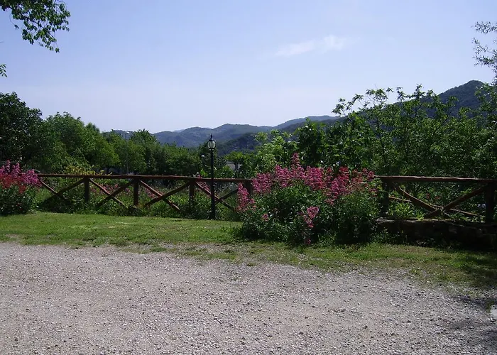 Il Falco Del Monte Fumaiolo Alfero