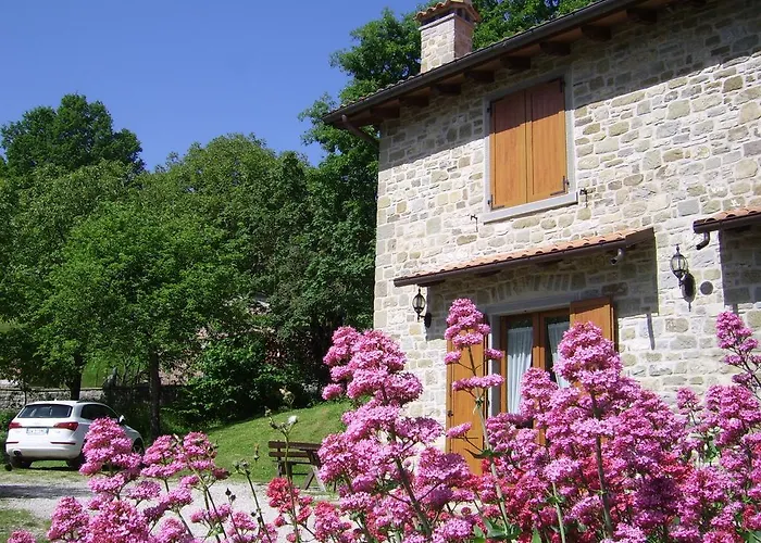 Gospodarstwo agroturystyczne Il Falco Del Monte Fumaiolo *