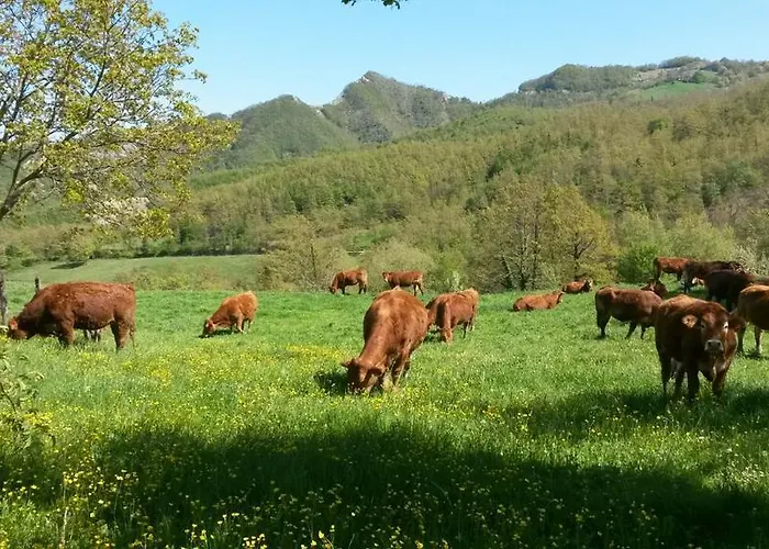 Gospodarstwo agroturystyczne Il Falco Del Monte Fumaiolo *