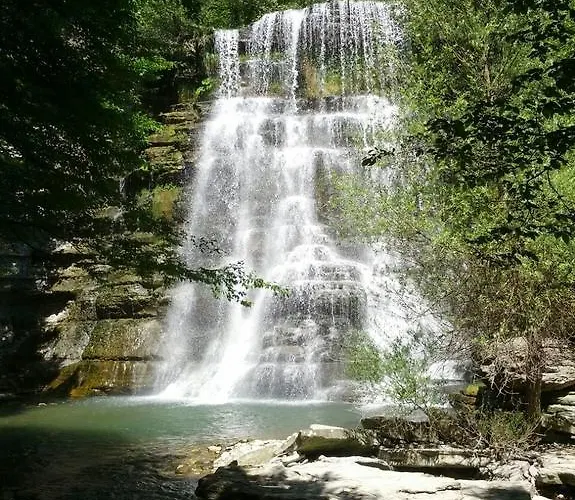 Il Falco Del Monte Fumaiolo *