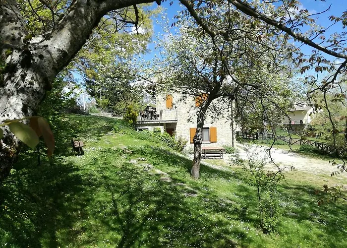 Il Falco Del Monte Fumaiolo Gospodarstwo agroturystyczne *