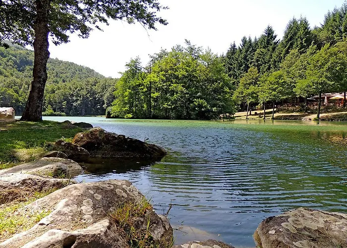 Il Falco Del Monte Fumaiolo * Alfero