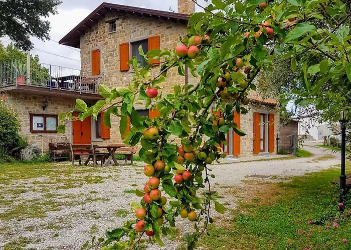 Gospodarstwo agroturystyczne Il Falco Del Monte Fumaiolo *