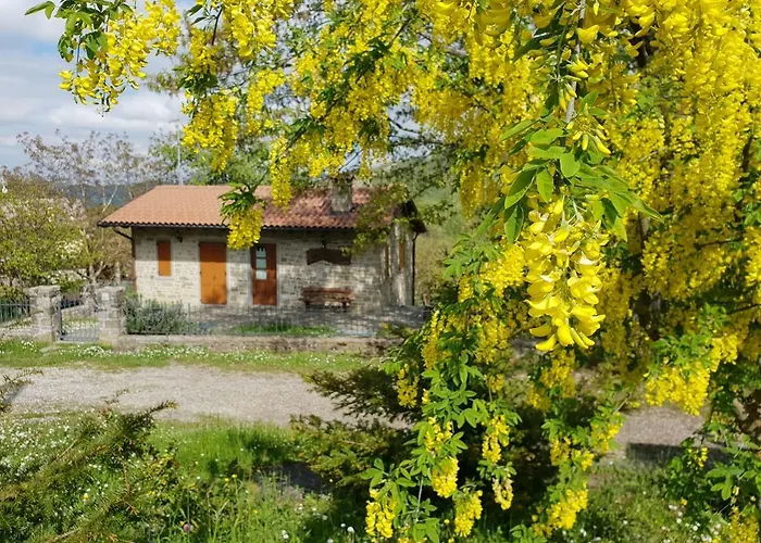 Il Falco Del Monte Fumaiolo Gospodarstwo agroturystyczne *