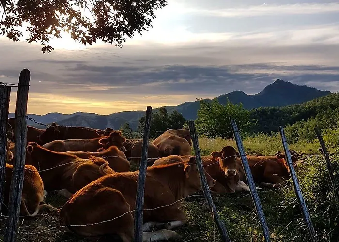 Il Falco Del Monte Fumaiolo Gospodarstwo agroturystyczne *
