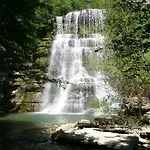 Il Falco Del Monte Fumaiolo *