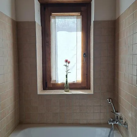 Il Falco Del Monte Fumaiolo