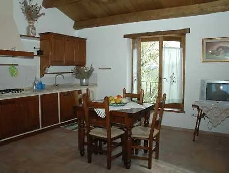 Il Falco Del Monte Fumaiolo *