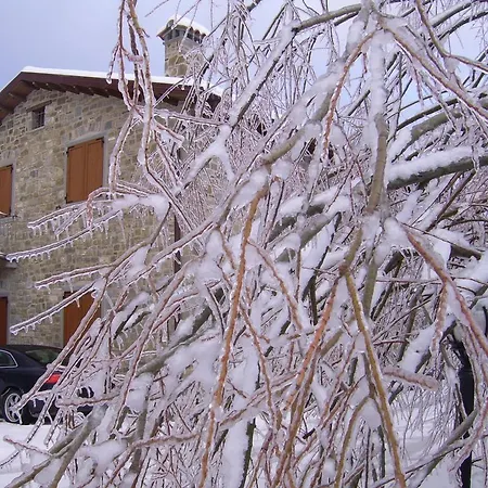 Il Falco Del Monte Fumaiolo Alojamento de Turismo Rural *