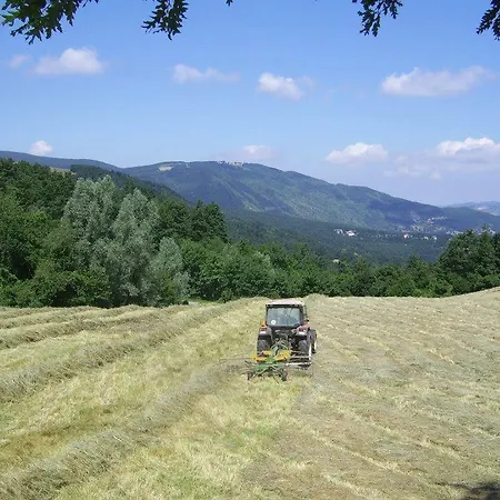 Alloggio per agriturismo Il Falco Del Monte Fumaiolo *