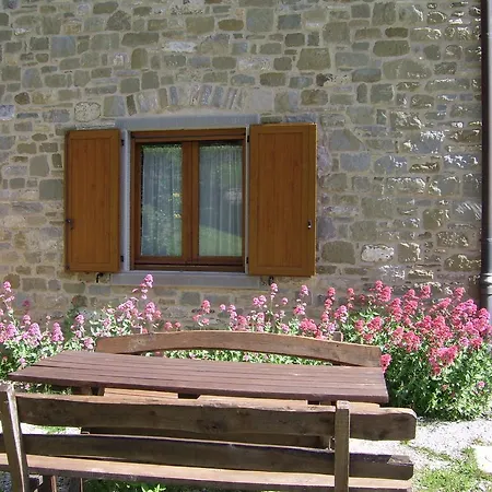 Il Falco Del Monte Fumaiolo * Alfero