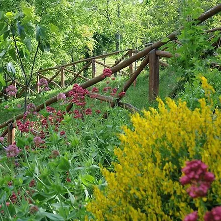 Il Falco Del Monte Fumaiolo Alloggio per agriturismo