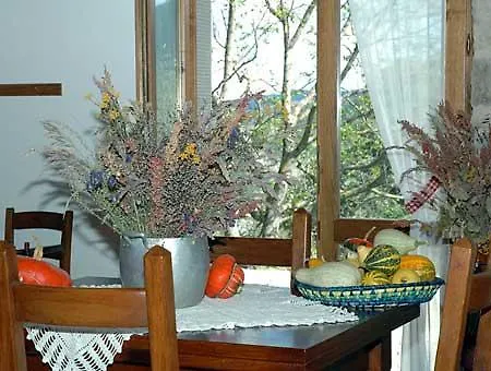 Il Falco Del Monte Fumaiolo * Alfero