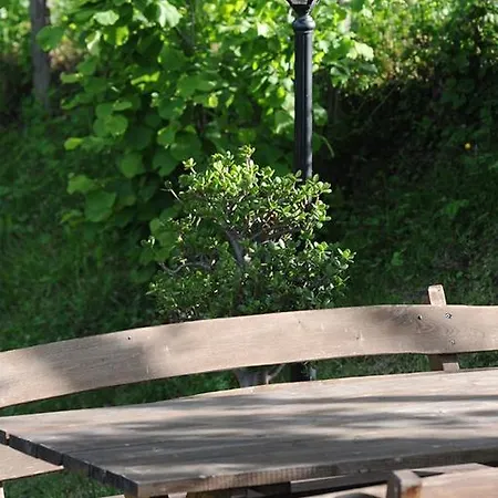 Il Falco Del Monte Fumaiolo * Alfero