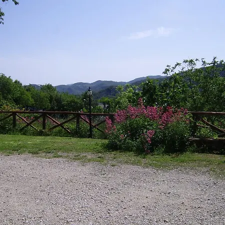 Il Falco Del Monte Fumaiolo Alfero