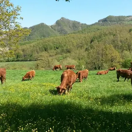 Alloggio per agriturismo Il Falco Del Monte Fumaiolo *