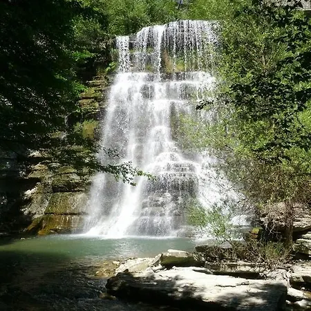 Il Falco Del Monte Fumaiolo *