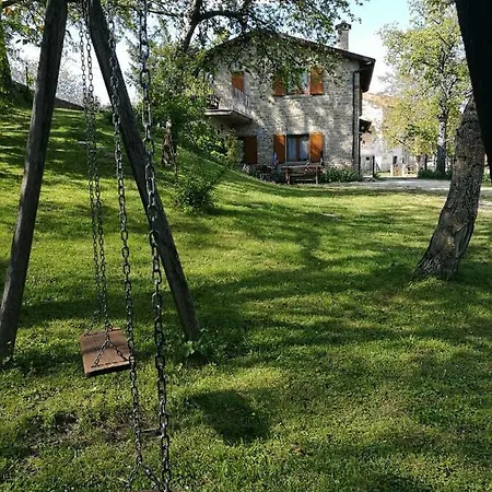 Il Falco Del Monte Fumaiolo *