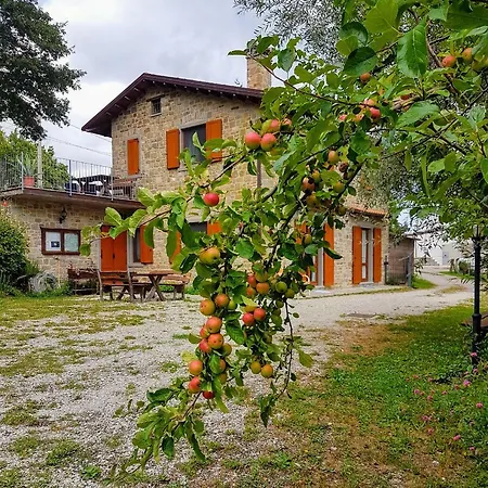 Alojamento de Turismo Rural Il Falco Del Monte Fumaiolo *