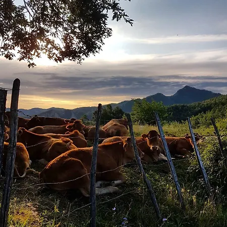 Il Falco Del Monte Fumaiolo Alojamento de Turismo Rural *