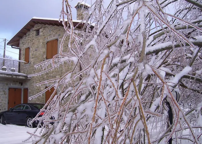 Il Falco Del Monte Fumaiolo Agroturismo *